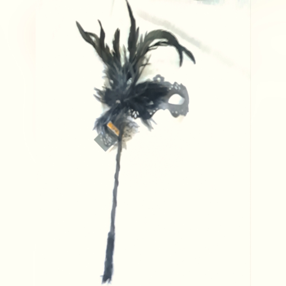 Elegant Black Feathered Feathered Mask...Festival Fun
